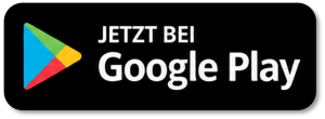 Google App laden im Google Play Store